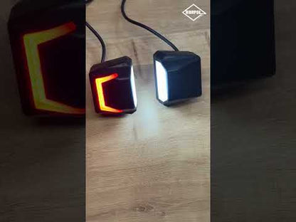 LED License Plate Lamp With Position Light LTD 2834